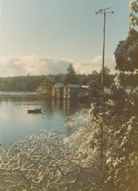 Cole Island, ice on Esquimalt Bay. Log booms visible in distance